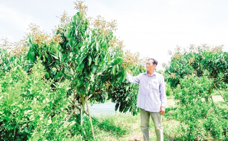 Chặng “nước rút” về đích

nông thôn mới nâng cao ở Định Môn