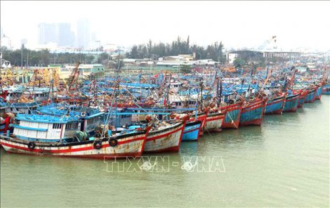 Kiểm soát chặt chẽ, đảm bảo an toàn cho tàu thuyền