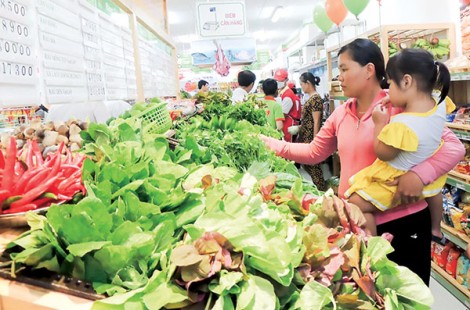 Thúc đẩy canh tác hữu cơ đáp ứng xu hướng tiêu dùng mới