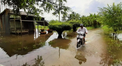 Cà Mau: Cần 140 tỉ đồng khắc phục hệ thống giao thông sau đợt ngập kéo dài