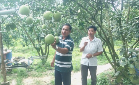 លក្ខឋាន​បែង​កំ​ណត់​តំ​បន់​ជន​ជាតិ​ភាគ​តិច​និង​តំ​បន់​ភ្នំ​ តាម​កម្រិត​អភិវឌ្ឍន៍​ដំ​ណាក់​កាល​ ២០២១-២០២៥
