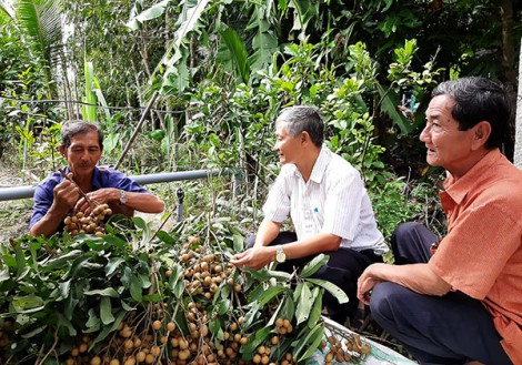 Tận tụy lo việc của dân