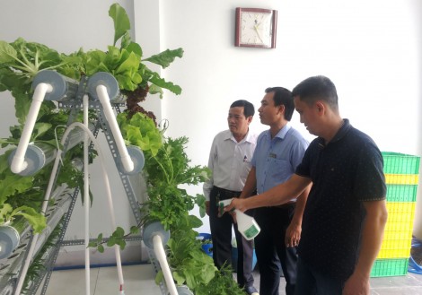 Phát triển nông nghiệp đô thị, tạo việc làm và tăng thu nhập cho phụ nữ