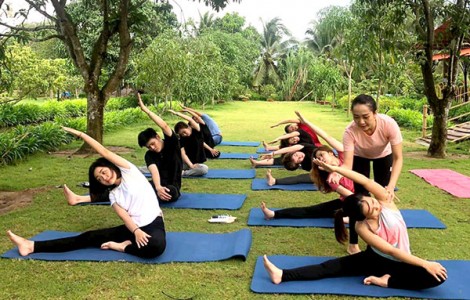 Thành công từ đam mê yoga