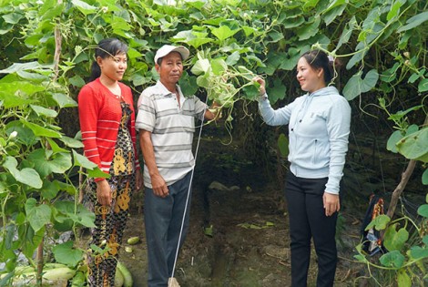 Nỗ lực lớn, quyết tâm cao
