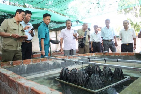 Đoàn kết giúp nhau giảm nghèo, nâng cao mức sống