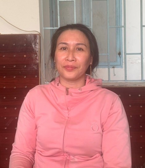 Bắt đối tượng có hành vi chống phá Đảng, Nhà nước