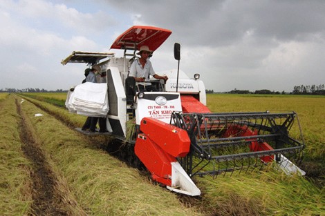 Sức sống từ xã nông thôn mới nâng cao Trường Thành