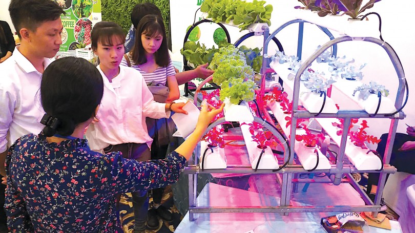 Startup tạo đột phá từ chuyển đổi số