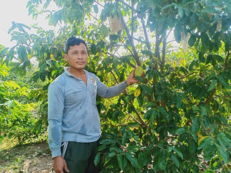 Vươn lên sau vấp ngã