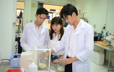 Biến vỏ tôm, cua thành nhựa sinh học