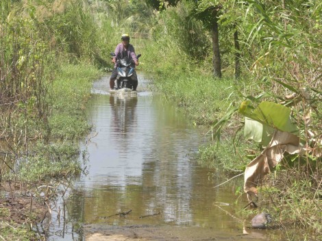 Vùng trấp còn nhiều khó khăn