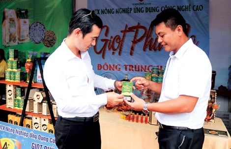 Hỗ trợ hợp tác xã tiếp cận các nguồn lực đầu tư