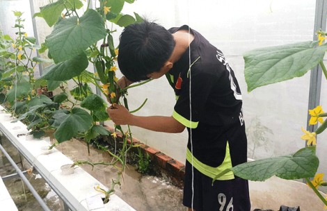 Thúc đẩy ứng dụng khoa học, công nghệ trong nông nghiệp