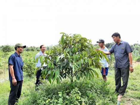 Lan tỏa việc làm theo gương Bác