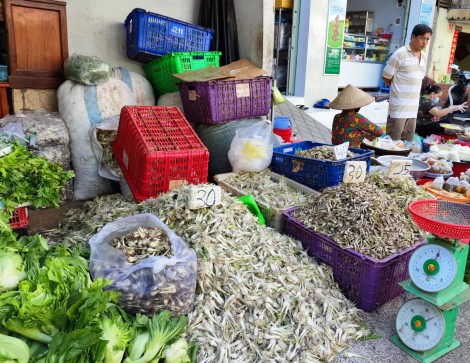 Nguồn cung dồi dào, giá củ kiệu giảm