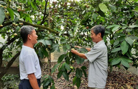Thiết thực chăm lo đời sống nhân dân