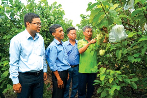 Tự sửa mình