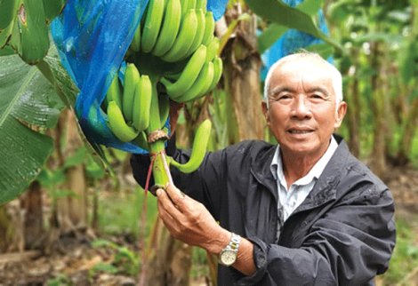Năng động làm giàu
