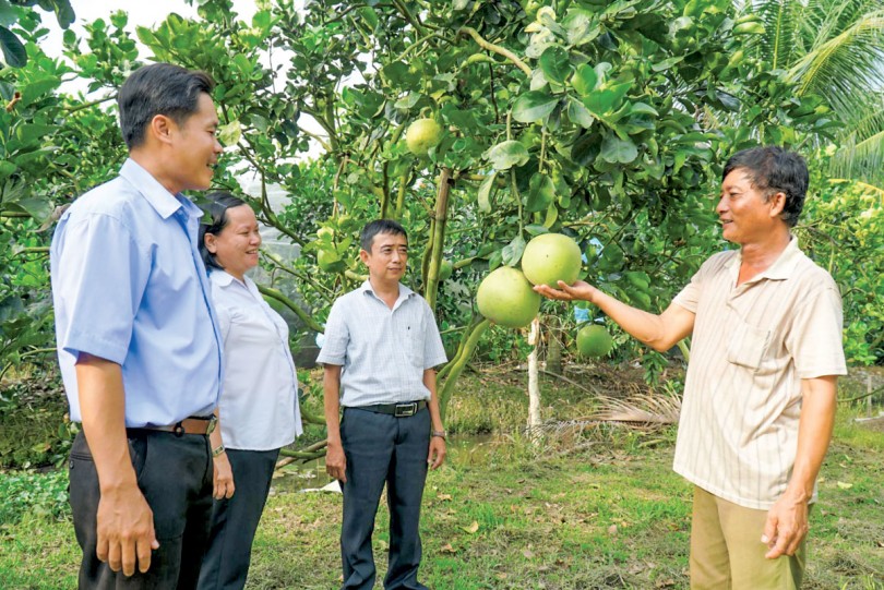 Xuân no ấm
