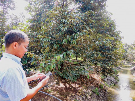 Thích ứng để tạo đột phá từ kinh tế số