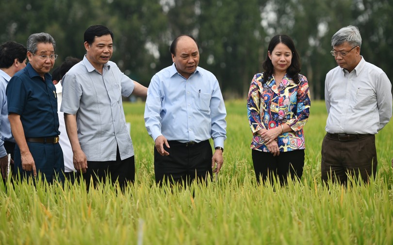 Cam kết và tầm nhìn thế kỷ của Chính phủ với 20 triệu người dân ĐBSCL