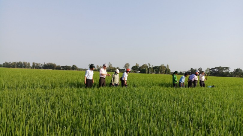 28.200 tỉ đồng đầu tư cho công trình, dự án nông nghiệp - nông thôn ĐBSCL