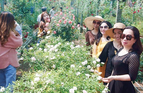 Du lịch Ðồng Tháp tìm giải pháp thích ứng