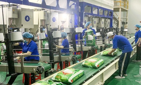 EVFTA thúc đẩy xuất khẩu của Việt Nam sang thị trường EU