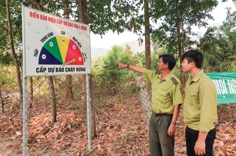 Chung sức giữ rừng Bảy Núi