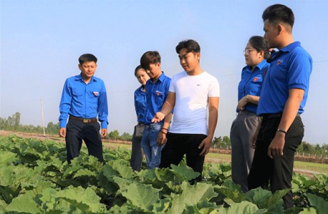 Phát huy vai trò xung kích, tình nguyện của tuổi trẻ