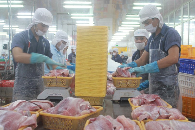 Tạo động lực cho thành phố phát triển