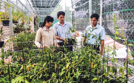 Lắng nghe để cùng gỡ khó