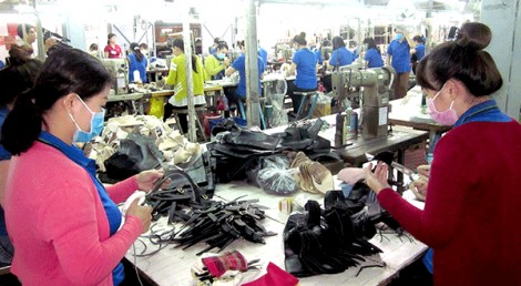 Giúp hội viên, phụ nữ phát triển kinh tế, nâng cao mức sống