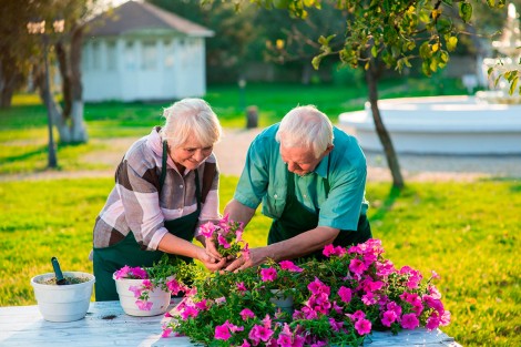 Làm việc nhà giúp người cao tuổi cải thiện sức khỏe trí não