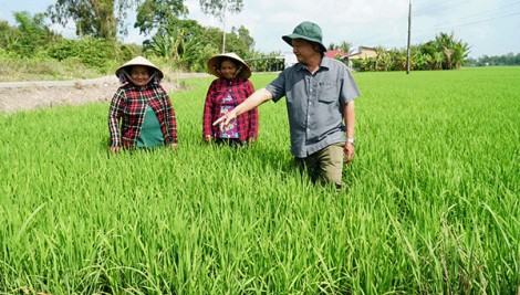 Phát huy vai trò hạt nhân lãnh đạo