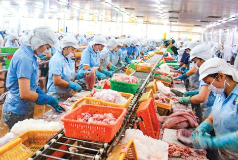 Khơi thông động lực tăng trưởng cho công nghiệp Cần Thơ  Bài 2: Ðịnh hình lại bức tranh công nghiệp thành phố 