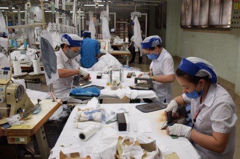 Chính phủ tiếp tục gia hạn tiền thuế và tiền thuê đất