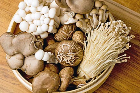 Ăn 18g nấm mỗi ngày có thể giảm 45% nguy cơ ung thư