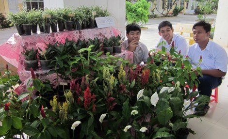 Giúp người khuyết tật cải thiện cuộc sống