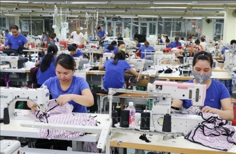 Bài 2: Công đoàn và sứ mệnh đấu tranh cho tiến bộ