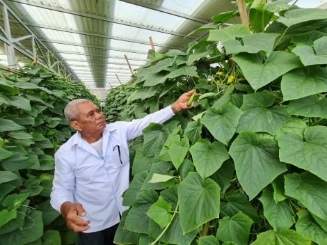 Triển vọng kết hợp sản xuất nông nghiệp và điện mặt trời
