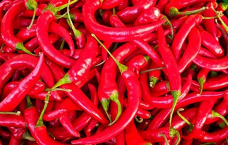 Hợp chất trong ớt có thể đẩy lùi ung thư phổi ác tính