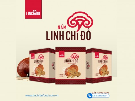 Những tác dụng cụ thể của nấm Linh chi khi sử dụng thường xuyên