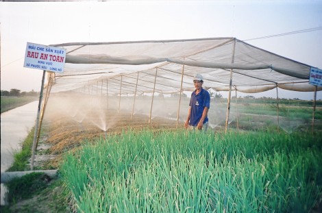 Vĩnh Long đề ra các giải pháp ứng phó biến đổi khí hậu