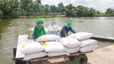 Giá thức ăn tăng cao,

bộc lộ điểm yếu

của ngành chăn nuôi
