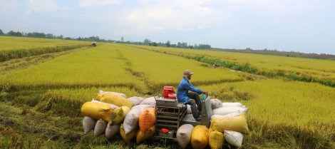 Ðề xuất quy hoạch phát triển ngành Nông nghiệp huyện Thới Lai bền vững đến năm 2030 và tầm nhìn 2050