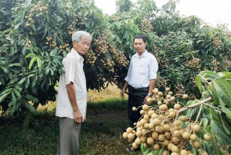 Nêu cao trách nhiệm của cán bộ, đảng viên