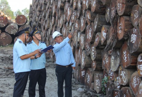 40 năm xây dựng và phát triển