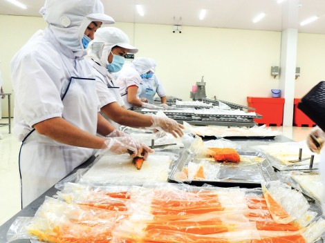 Số lượng doanh nghiệp thành lập mới

giảm do dịch COVID-19